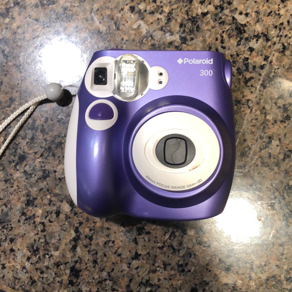 Polaroid 300